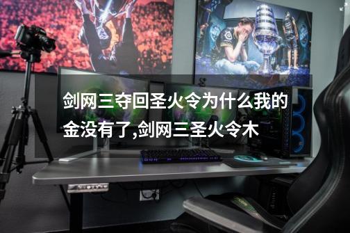 剑网三夺回圣火令为什么我的金没有了,剑网三圣火令木-第1张-游戏相关-尔合网