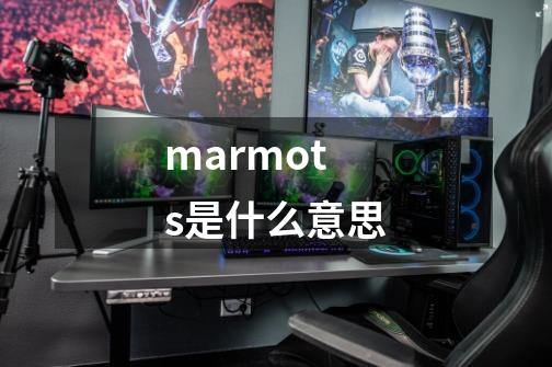 marmots是什么意思-第1张-游戏相关-尔合网