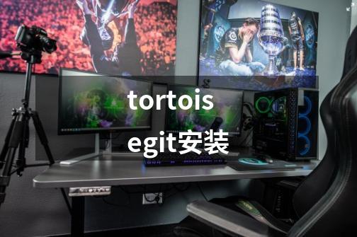 tortoisegit安装-第1张-游戏相关-尔合网