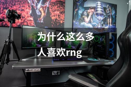 为什么这么多人喜欢rng-第1张-游戏相关-尔合网