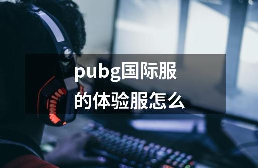 pubg国际服的体验服怎么-第1张-游戏相关-尔合网