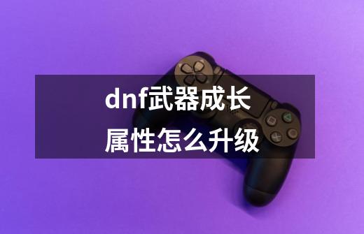 dnf武器成长属性怎么升级-第1张-游戏相关-尔合网