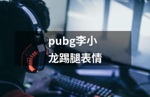 pubg李小龙踢腿表情-第1张-游戏相关-尔合网