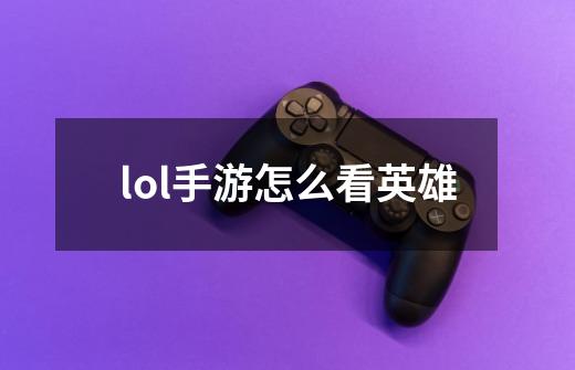 lol手游怎么看英雄-第1张-游戏相关-尔合网