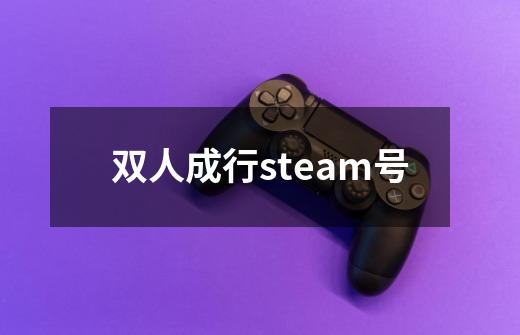 双人成行steam号-第1张-游戏相关-尔合网