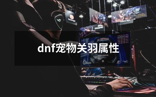 dnf宠物关羽属性-第1张-游戏相关-尔合网