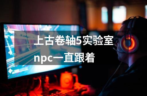 上古卷轴5实验室npc一直跟着-第1张-游戏相关-尔合网