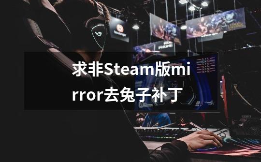 求非Steam版mirror去兔子补丁-第1张-游戏相关-尔合网