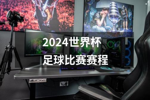 2024世界杯足球比赛赛程-第1张-游戏相关-尔合网