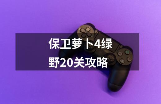 保卫萝卜4绿野20关攻略-第1张-游戏相关-尔合网