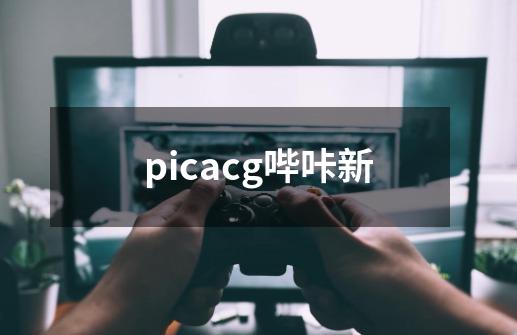 picacg哔咔新-第1张-游戏相关-尔合网