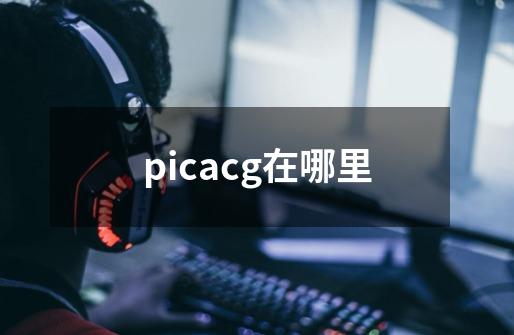 picacg在哪里-第1张-游戏相关-尔合网