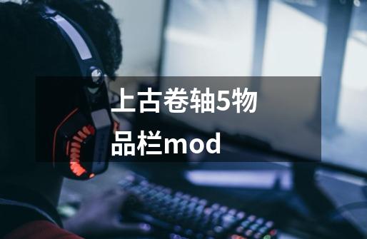 上古卷轴5物品栏mod-第1张-游戏相关-尔合网