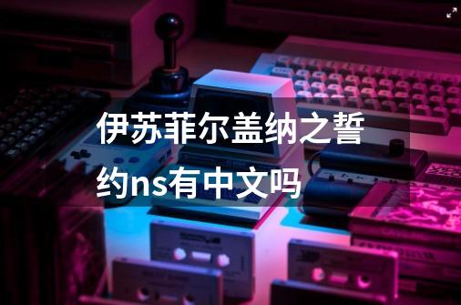 伊苏菲尔盖纳之誓约ns有中文吗-第1张-游戏相关-尔合网