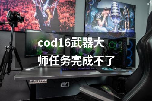 cod16武器大师任务完成不了-第1张-游戏相关-尔合网