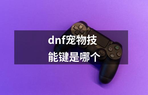 dnf宠物技能键是哪个-第1张-游戏相关-尔合网