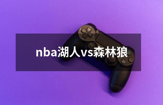 nba湖人vs森林狼-第1张-游戏相关-尔合网