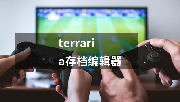 terraria存档编辑器-第1张-游戏相关-尔合网