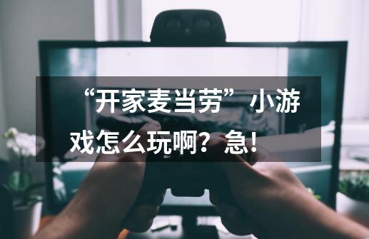 “开家麦当劳”小游戏怎么玩啊？急!-第1张-游戏相关-尔合网