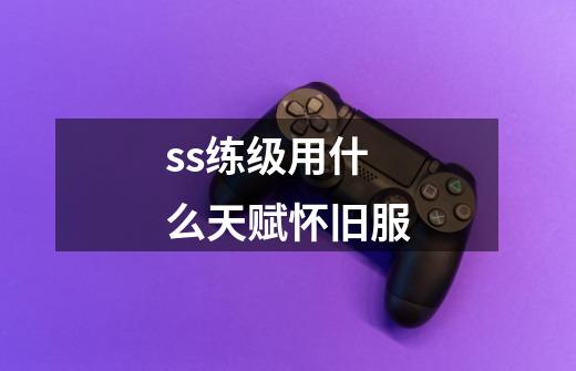 ss练级用什么天赋怀旧服-第1张-游戏相关-尔合网