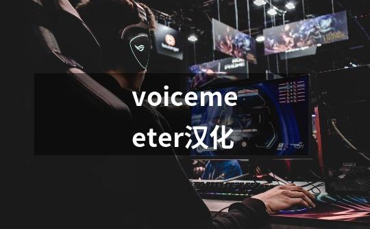 voicemeeter汉化-第1张-游戏相关-尔合网