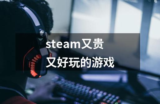 steam又贵又好玩的游戏-第1张-游戏相关-尔合网