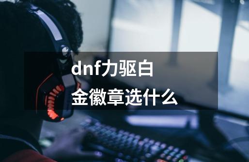 dnf力驱白金徽章选什么-第1张-游戏相关-尔合网