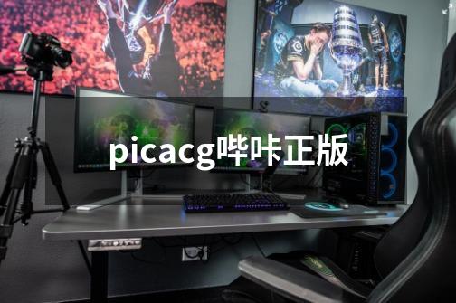 picacg哔咔正版-第1张-游戏相关-尔合网