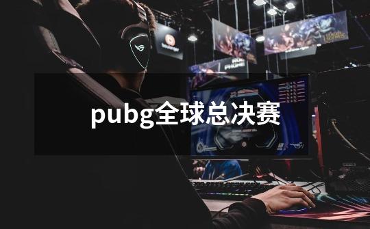 pubg全球总决赛-第1张-游戏相关-尔合网