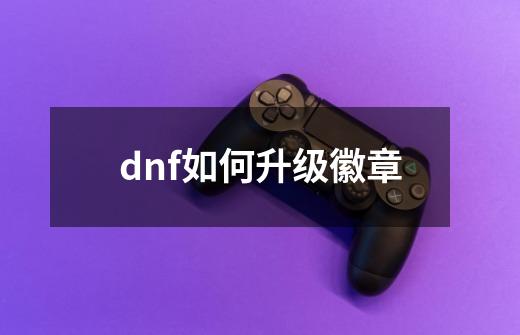 dnf如何升级徽章-第1张-游戏相关-尔合网