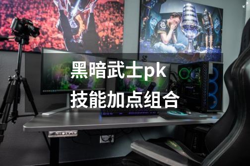 黑暗武士pk技能加点组合-第1张-游戏相关-尔合网