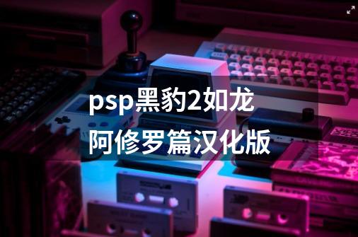 psp黑豹2如龙阿修罗篇汉化版-第1张-游戏相关-尔合网