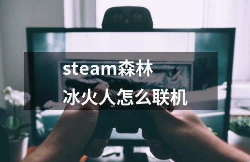 steam森林冰火人怎么联机-第1张-游戏相关-尔合网