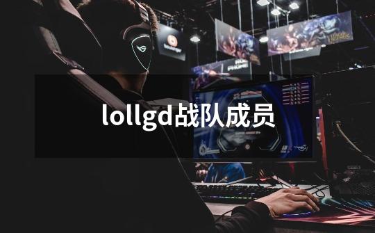 lollgd战队成员-第1张-游戏相关-尔合网