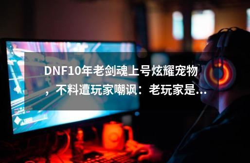 DNF10年老剑魂上号炫耀宠物，不料遭玩家嘲讽：老玩家是个屁-第1张-游戏相关-尔合网