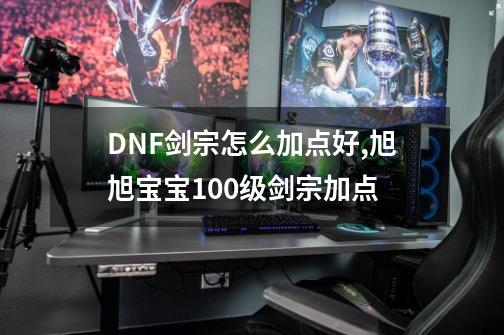 DNF剑宗怎么加点好,旭旭宝宝100级剑宗加点-第1张-游戏相关-尔合网