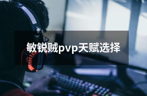 敏锐贼pvp天赋选择-第1张-游戏相关-尔合网