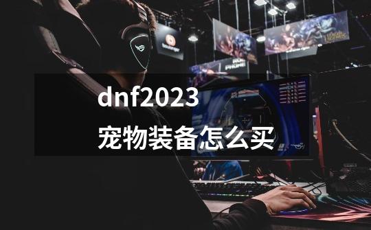 dnf2023宠物装备怎么买-第1张-游戏相关-尔合网