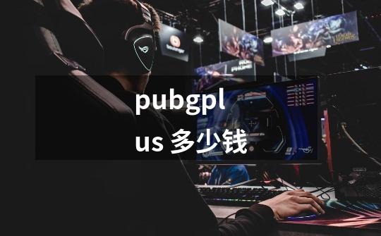 pubgplus 多少钱-第1张-游戏相关-尔合网