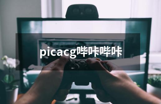 picacg哔咔哔咔-第1张-游戏相关-尔合网