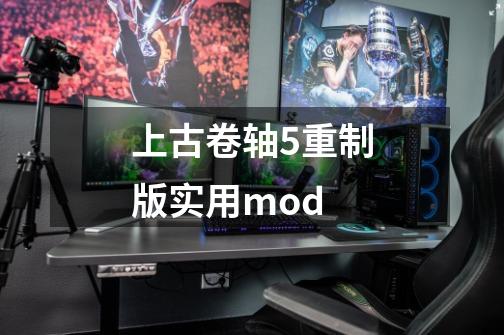 上古卷轴5重制版实用mod-第1张-游戏相关-尔合网