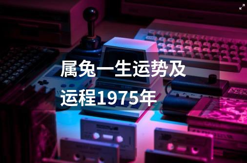 属兔一生运势及运程1975年-第1张-游戏相关-尔合网