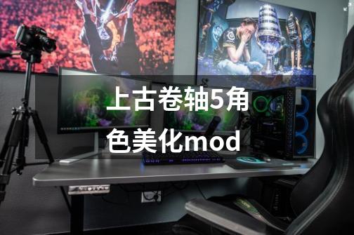 上古卷轴5角色美化mod-第1张-游戏相关-尔合网