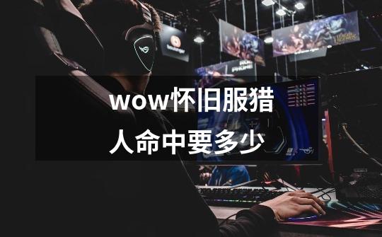 wow怀旧服猎人命中要多少-第1张-游戏相关-尔合网