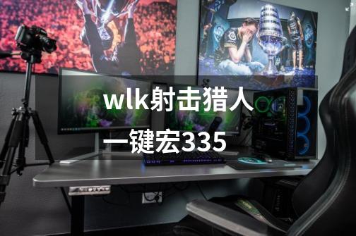 wlk射击猎人一键宏335-第1张-游戏相关-尔合网