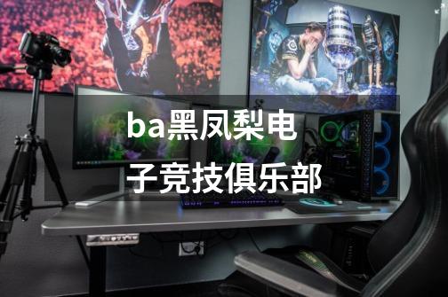 ba黑凤梨电子竞技俱乐部-第1张-游戏相关-尔合网