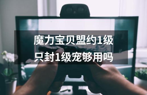 魔力宝贝盟约1级只封1级宠够用吗-第1张-游戏相关-尔合网