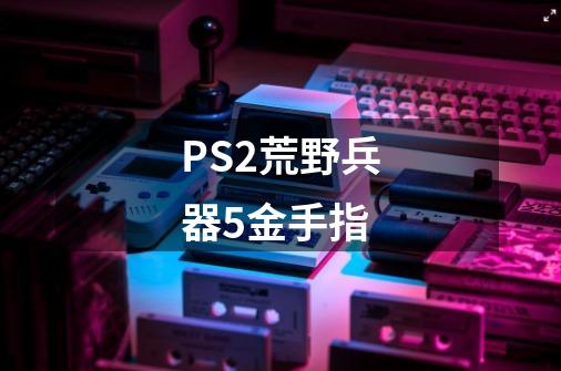 PS2荒野兵器5金手指-第1张-游戏相关-尔合网