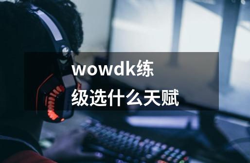 wowdk练级选什么天赋-第1张-游戏相关-尔合网