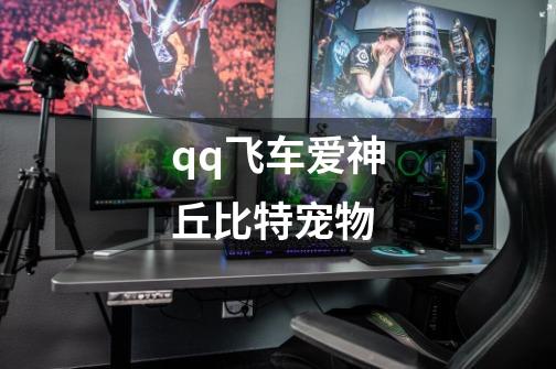 qq飞车爱神丘比特宠物-第1张-游戏相关-尔合网